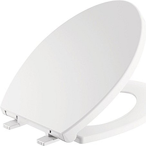 Delta Faucet Morgan Elongated Slow-Close White Toilet Seat with Non-Slip Seat Bumpers